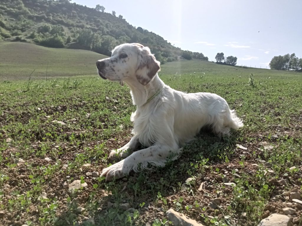 Rafale Du Causse du Larzac