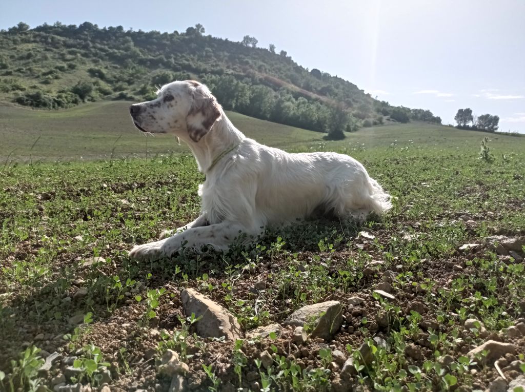 Rafale Du Causse du Larzac