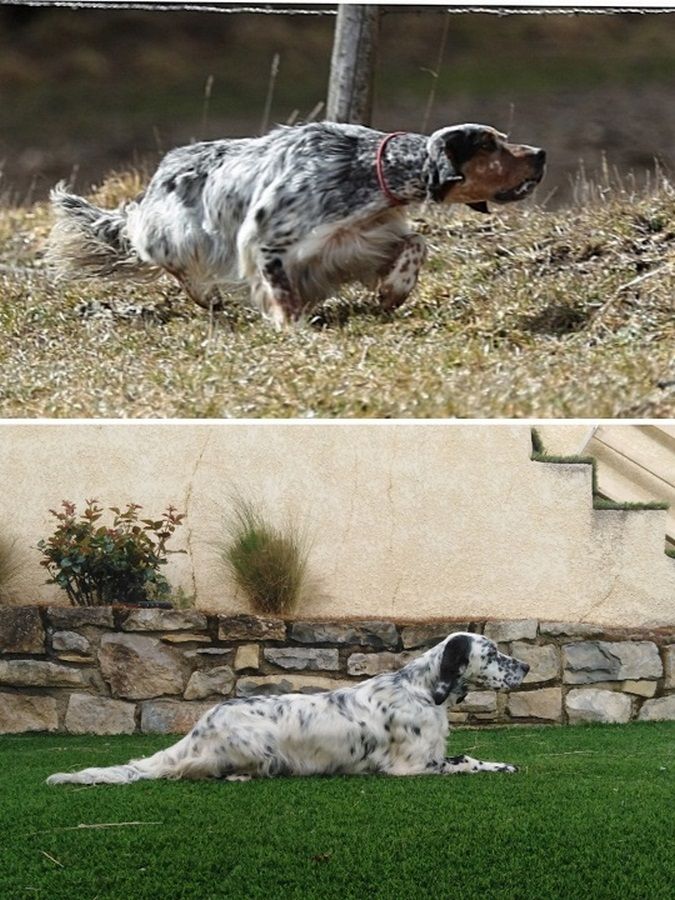 Du Causse du Larzac - Milka à rencontré Massaï