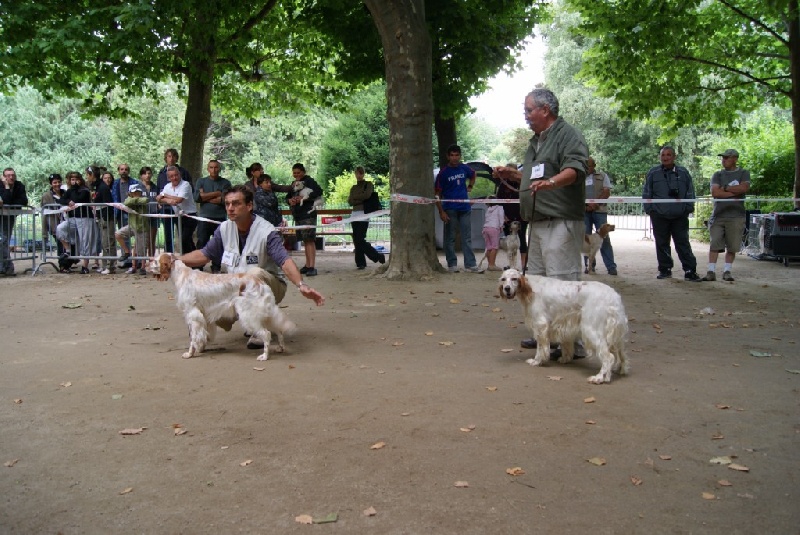 expo puy en velay