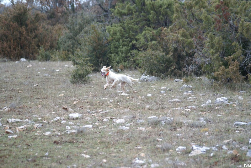terra d'oc 2010